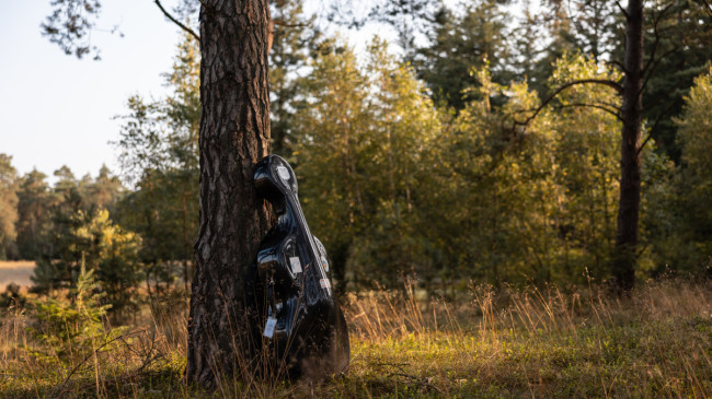 Wakker worden met de vogels op de Hoge Veluwe