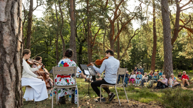 Bijzondere sfeer op de vroege ochtend